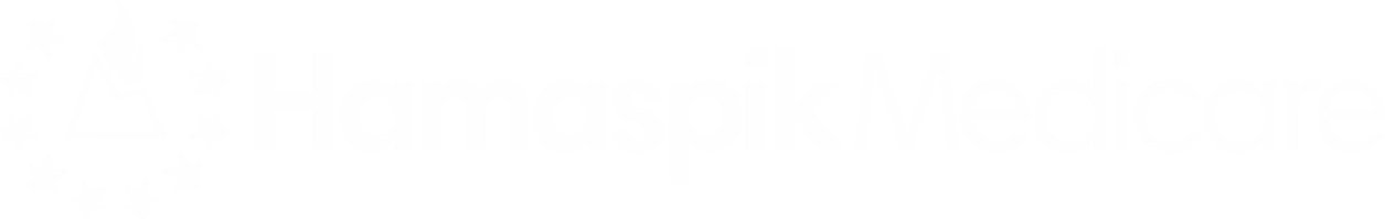 Hamaspik Logo